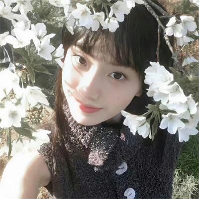 骷髅头 封面